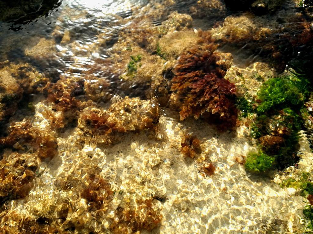 Perla Del Atlantico Διαμέρισμα Orzola Εξωτερικό φωτογραφία